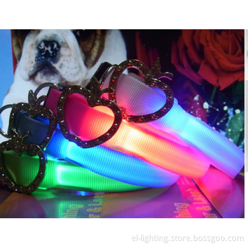 LED Pet Collar and Leads - 1